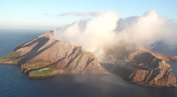 Le meraviglie dell'oceano
