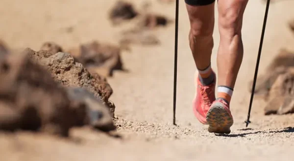Trail Highlights