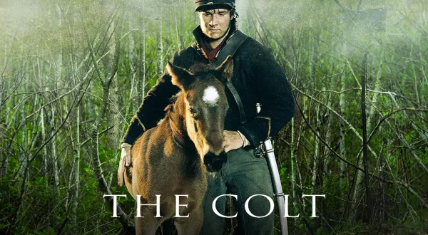 The Colt