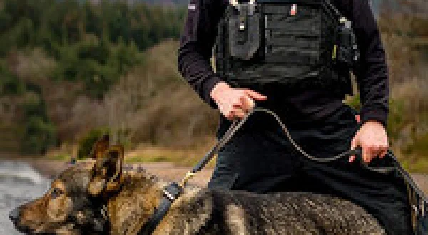 Highland Cops