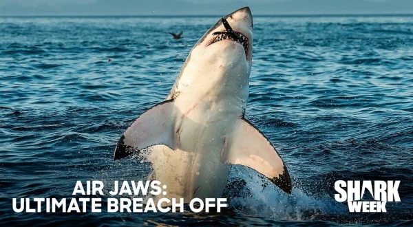 Air Jaws: Ultimate Breach Off