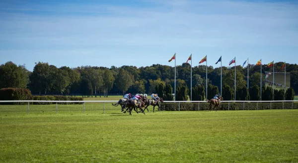 Circuito Nacional de Turf