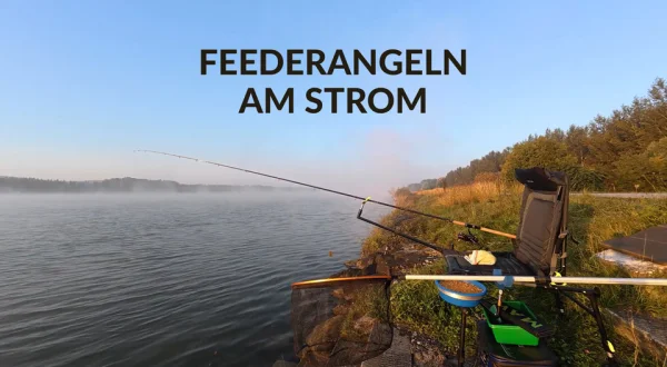 Feederangeln am Strom