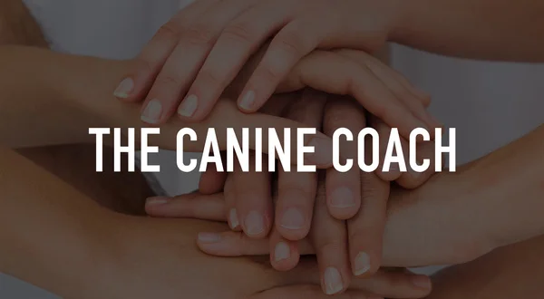 The Canine Coach