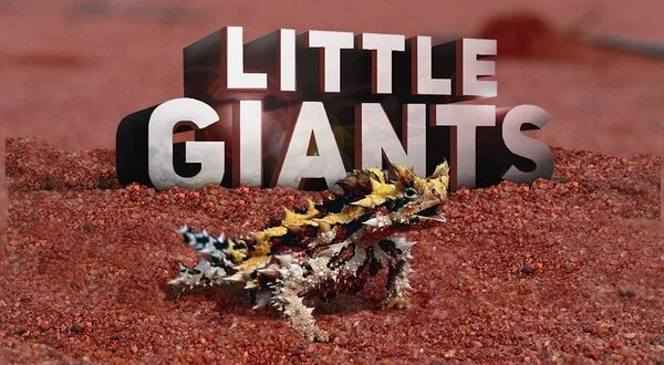 Little Giants
