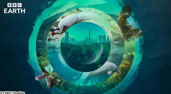 ＢＢＣ Ｅａｒｔｈ ２０２６ ワイルド・チャイナ～命あふれる広東～ ＃３ 都市