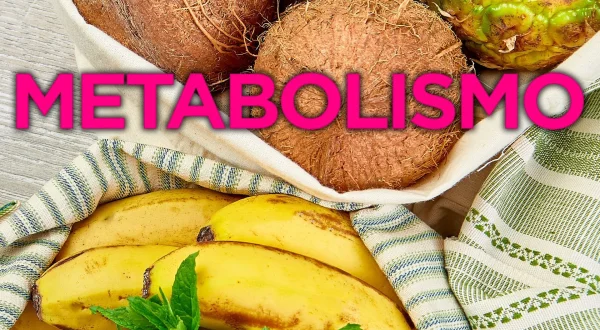 Metabolismo