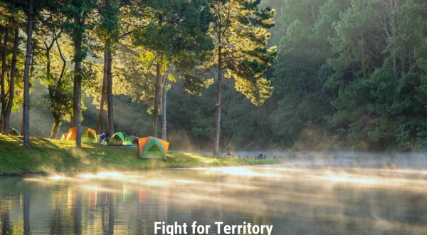 Fight for Territory