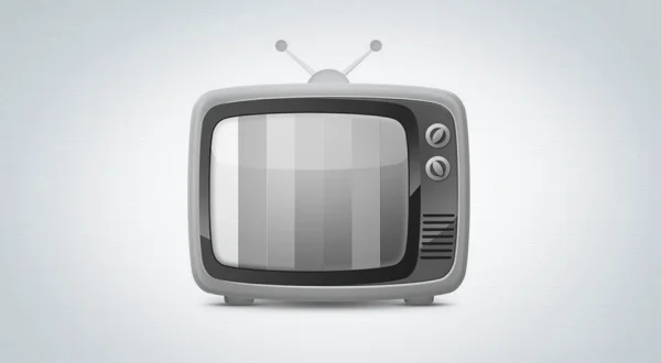 Sat tv Portret Jasmina Kadija