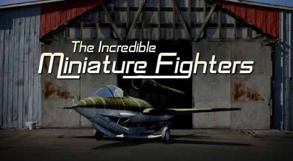 The Incredible Miniature Fighters