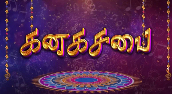 கனக சபை