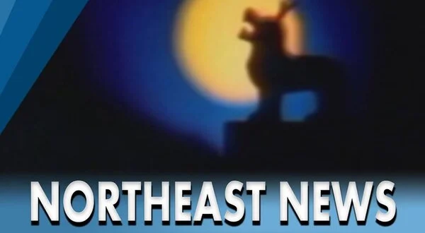 North East News