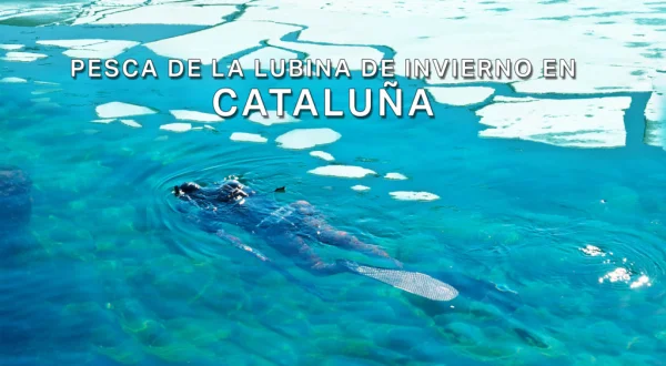 Pesca de la lubina de invierno en Cataluña
