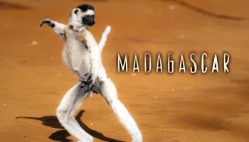 Madagascar