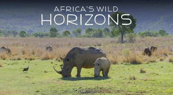 S0E4 - Horizontet e Afrikës së Egër