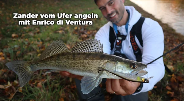 Zander vom Ufer angeln mit Enrico di Ventura