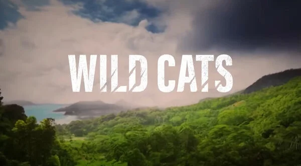 Wild Cats