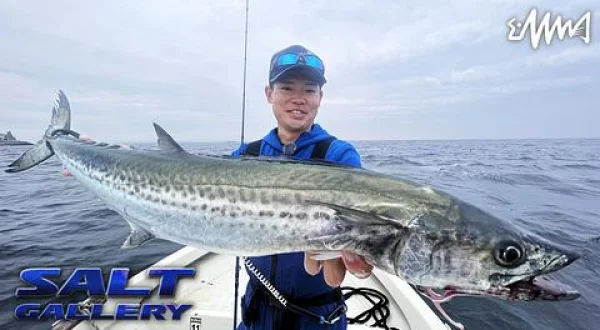 ソルトギャラリー 49 東京湾のサワラゲーム