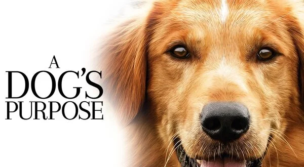 A Dog's Purpose