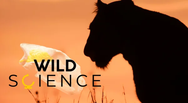 Wild Science