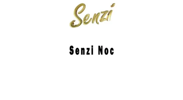 Senzi noc