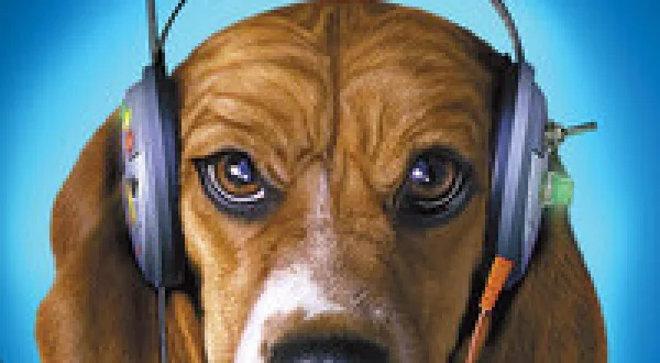 Cats & Dogs