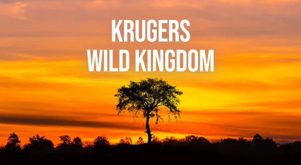 Krugers Wild Kingdom