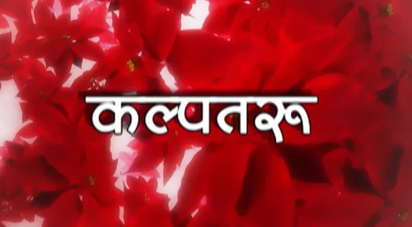 कल्पतरू