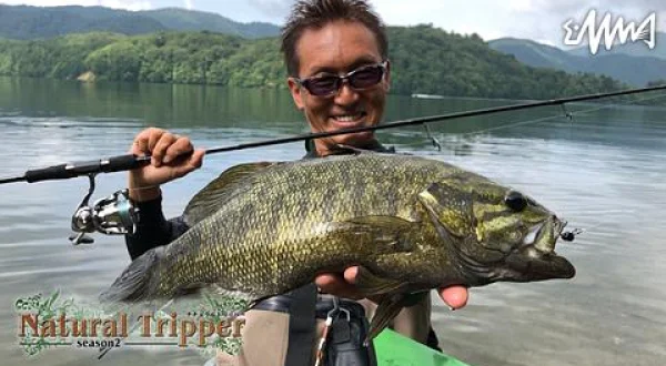 Natural Tripper season
