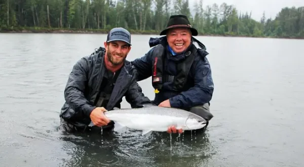 Kampfstarke Steelheads und Lachse am Skeena River in Kanada