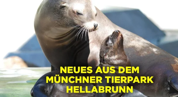 Neues aus dem Münchner Tierpark Hellabrunn