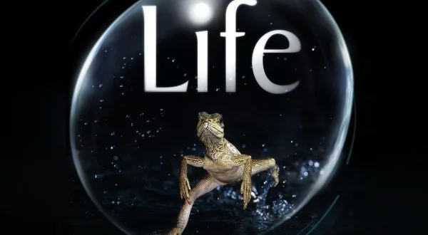 Life