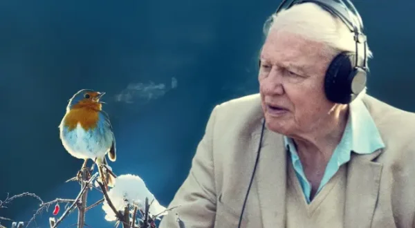 David Attenborough: La melodia della natura