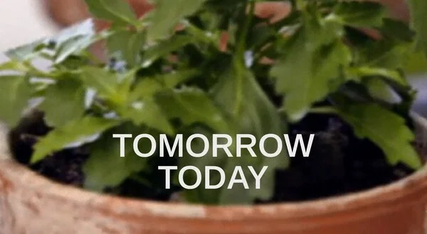 Tomorrow Today