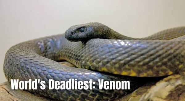 World's Deadliest: Venom