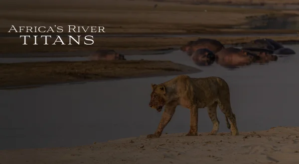 Africa's River Titans