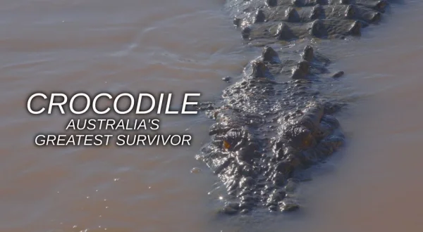 Crocodile: Australia's Greatest Survivor