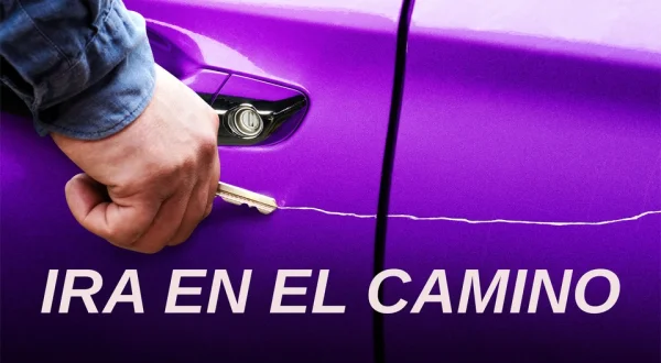 Ira en el camino