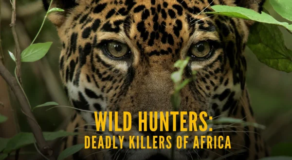 Wild Hunters: Deadly Killers of Africa