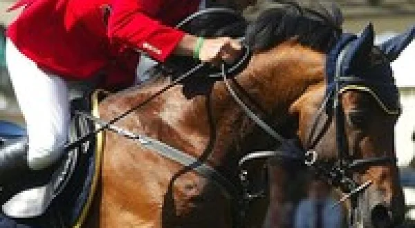 Equitazione