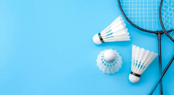 Badminton: Internationaux de France