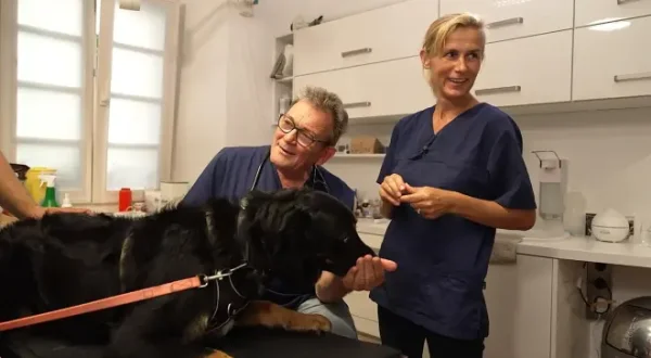 Die Tier-Docs! Pfotenhelden mit Herz