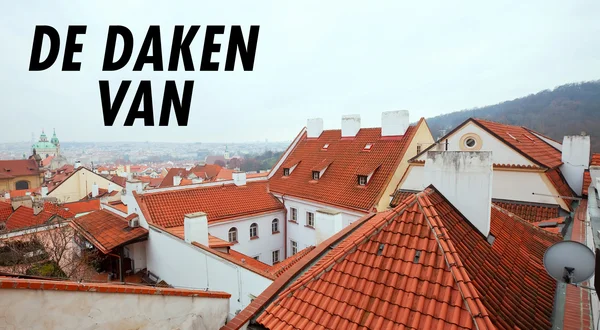 De Daken van