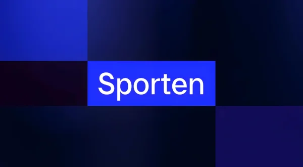 Sporten