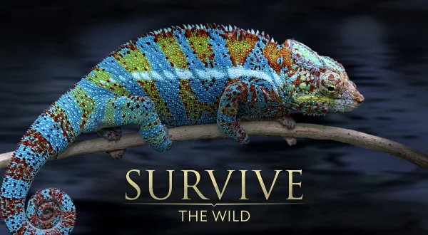 Survive the Wild