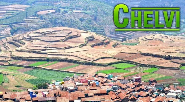 Chelvi