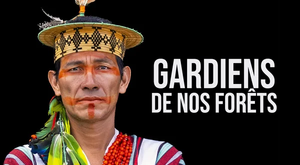 Gardiens de nos forêts