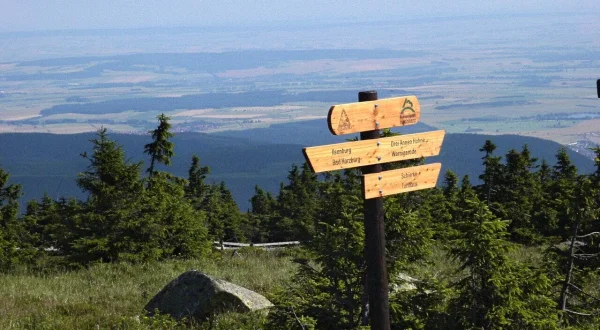 Harz im Herzen