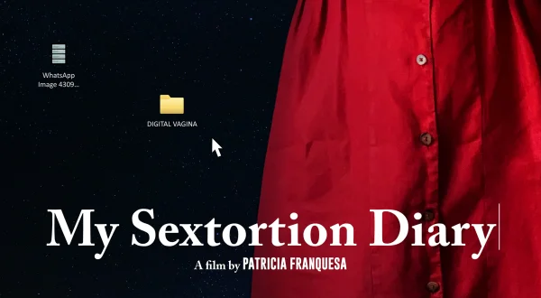 My Sextortion Diary