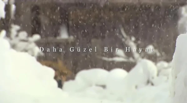 Daha Güzel Bir Hayat